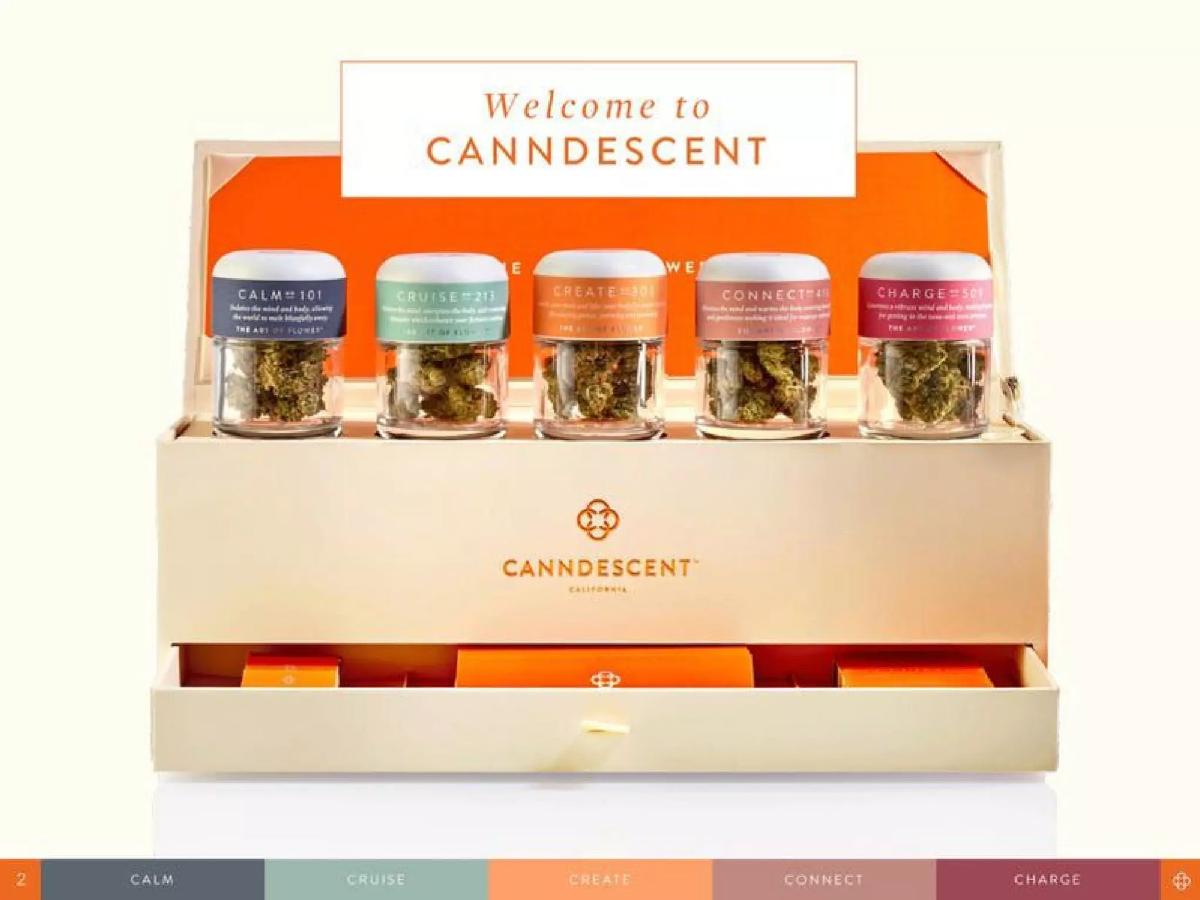 Canndescent pitch deck slide 2 of 20