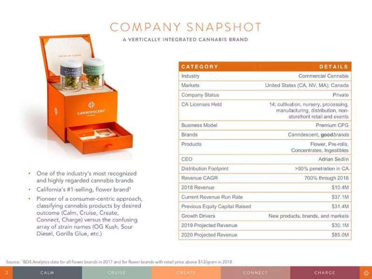 Canndescent pitch deck slide 3 of 20