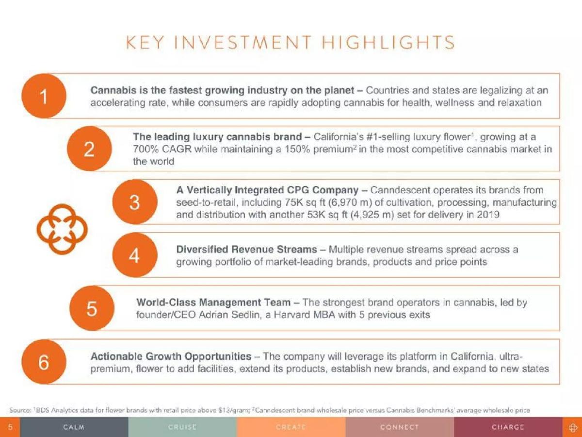 Canndescent pitch deck slide 5 of 20