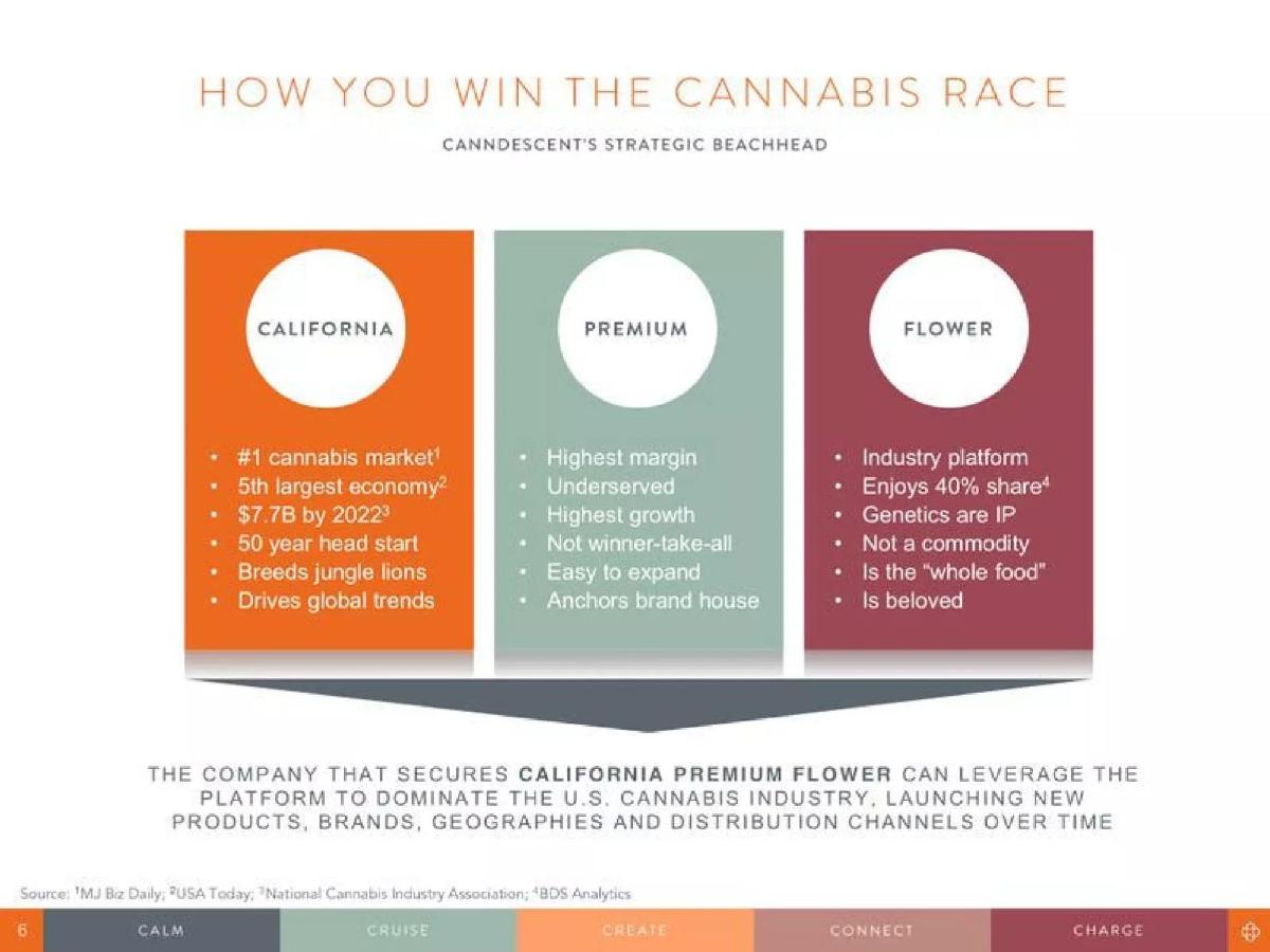 Canndescent pitch deck slide 6 of 20