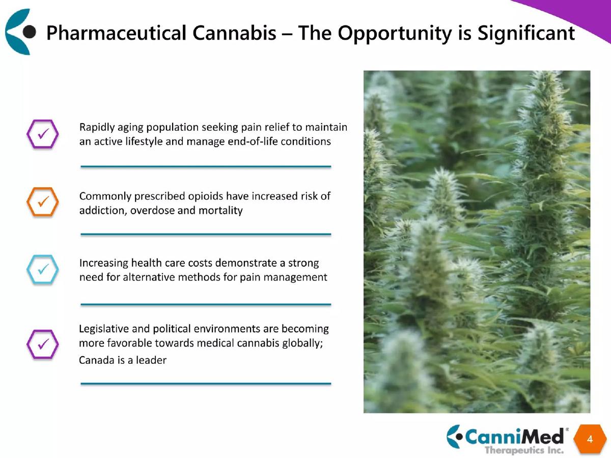 CanniMed Therapeutics Inc. pitch deck slide 4 of 20