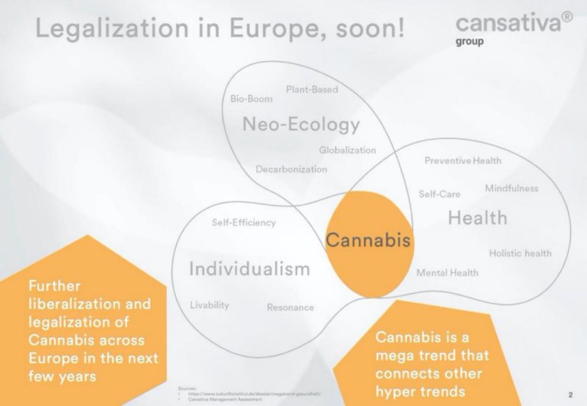 Cansativa pitch deck slide 2 of 12