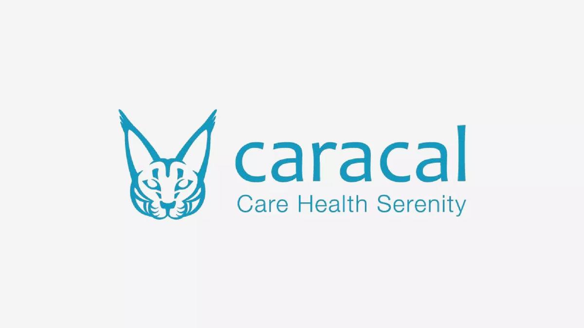 Caracal FR pitch deck slide 1 of 7