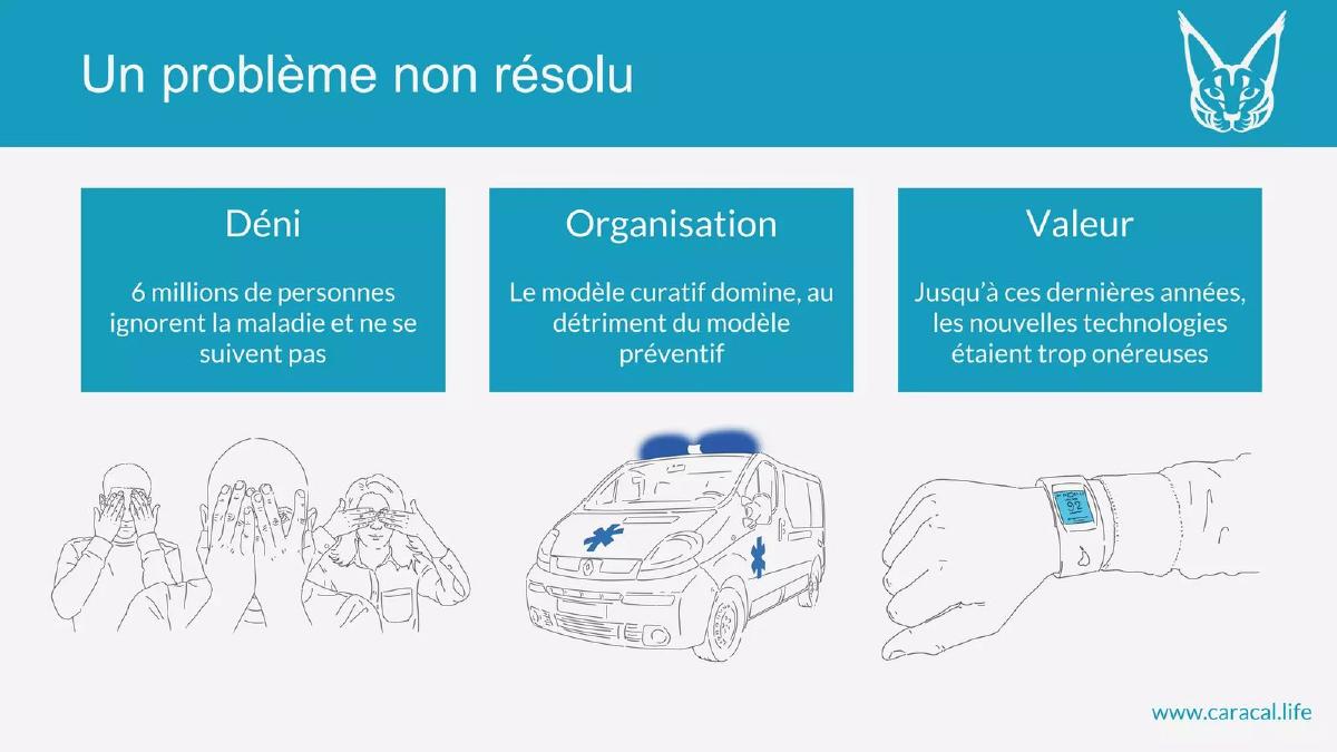 Caracal FR pitch deck slide 3 of 7