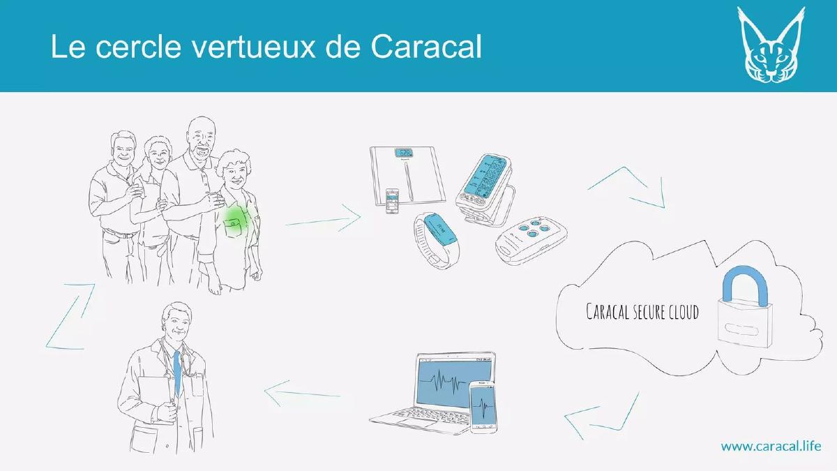 Caracal FR pitch deck slide 5 of 7