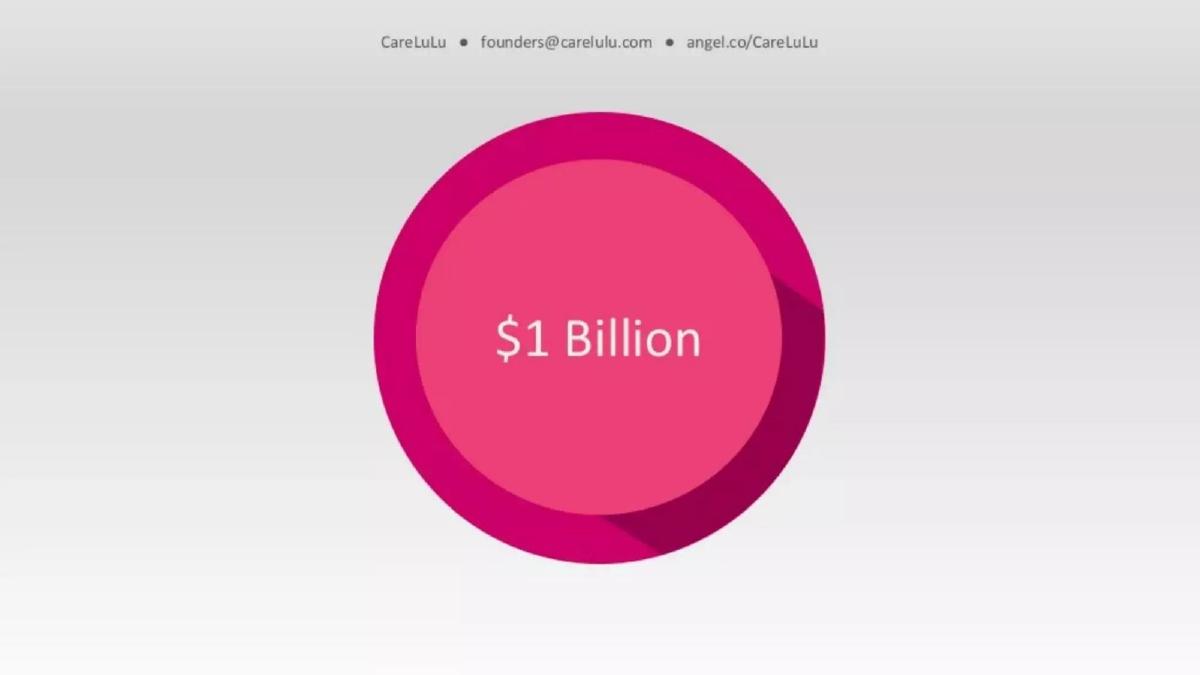 CareLuLu pitch deck slide 2 of 14