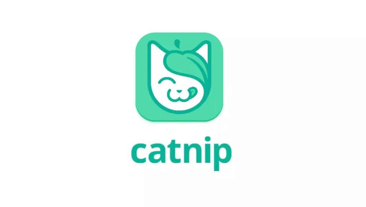 Catnip pitch deck slide 1 of 9