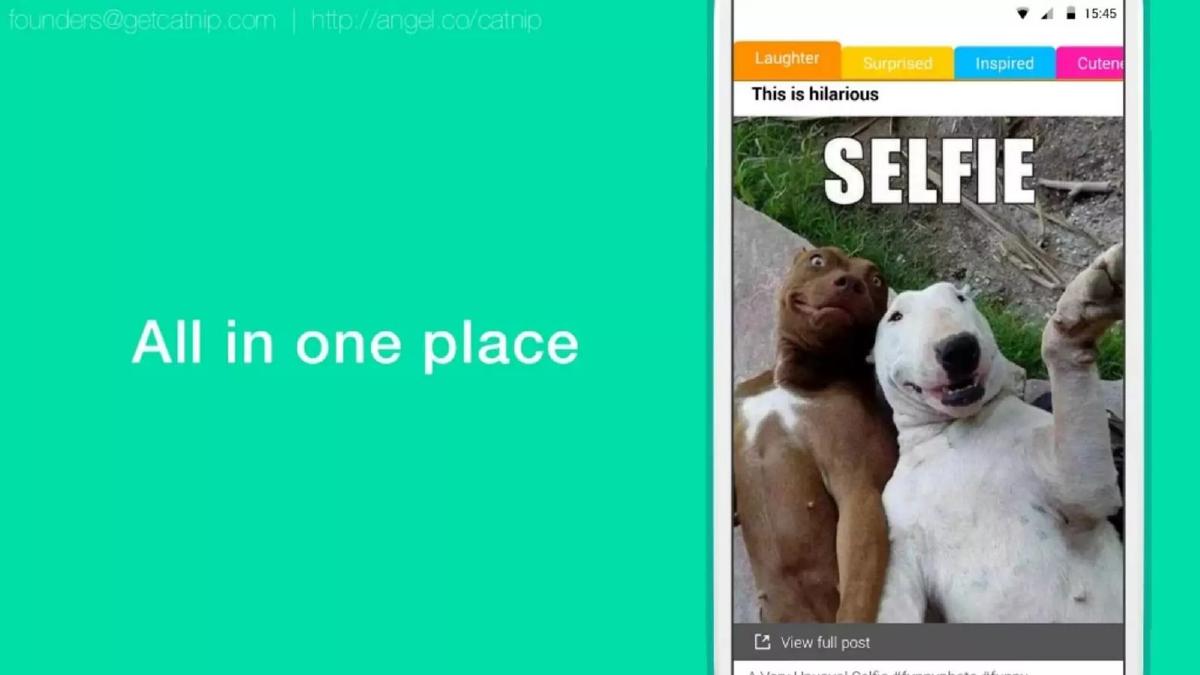 Catnip pitch deck slide 5 of 9