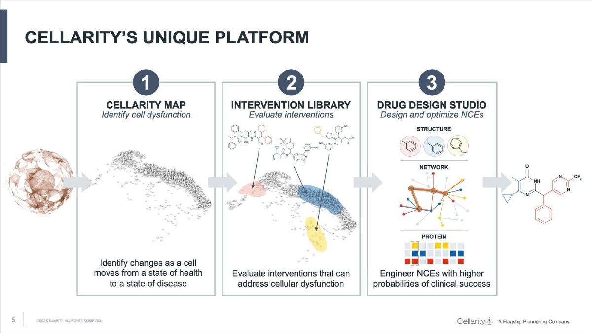 Cellarity pitch deck slide 5 of 12