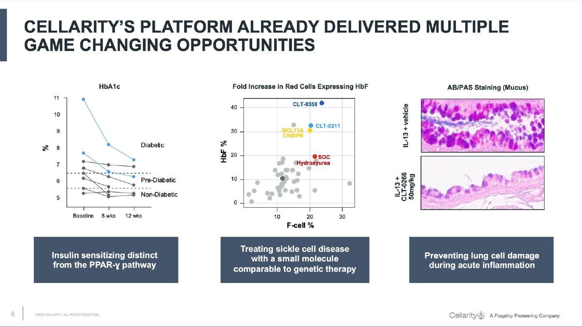 Cellarity pitch deck slide 6 of 12
