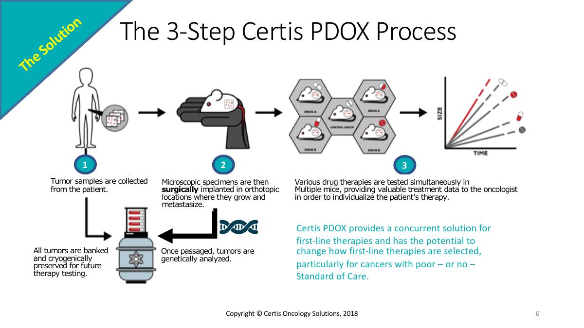 Certis Oncology Solutions pitch deck slide 6 of 17
