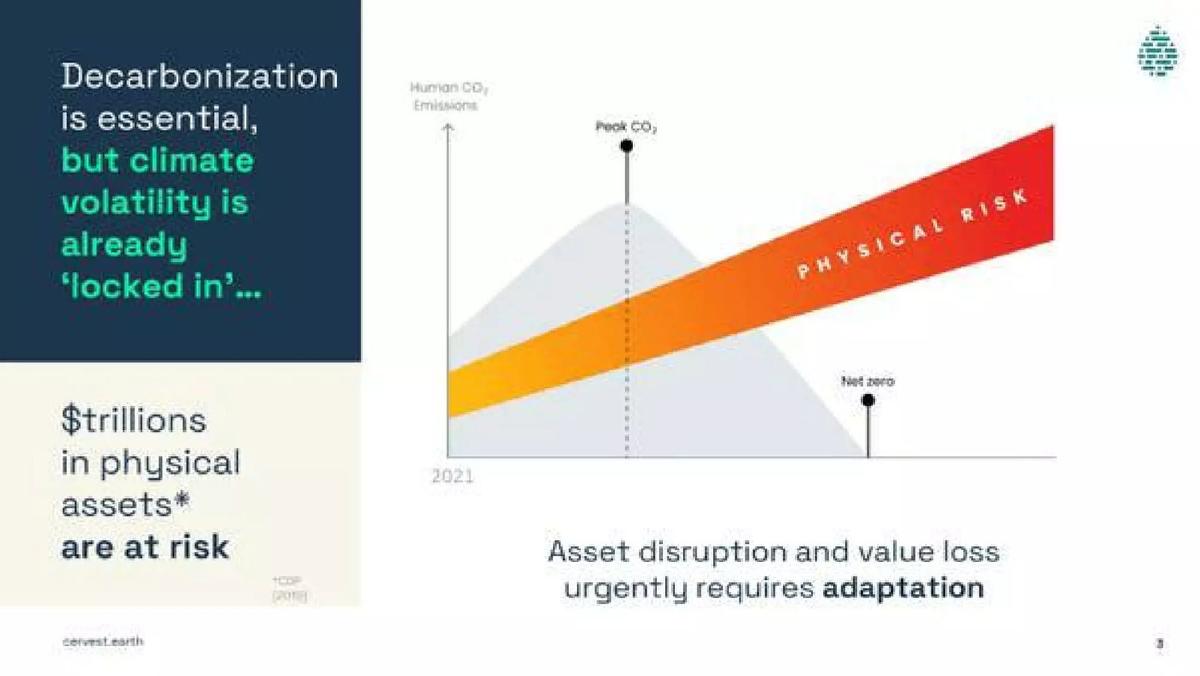 Cervest pitch deck slide 3 of 14