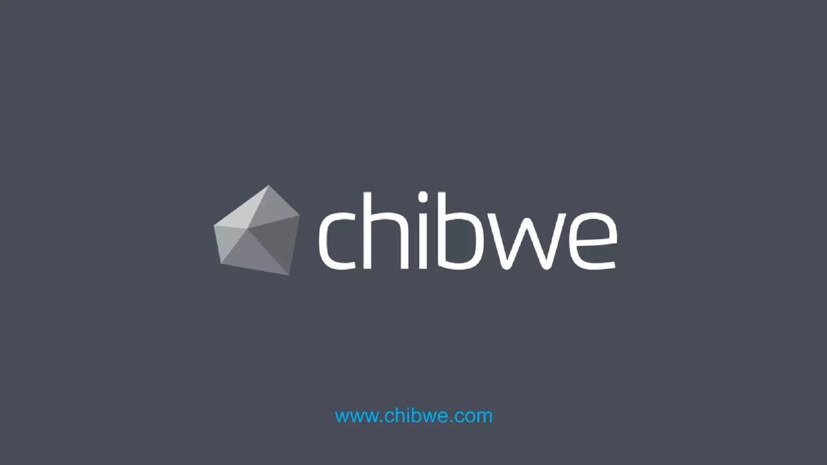 Chibwe pitch deck slide 1 of 14
