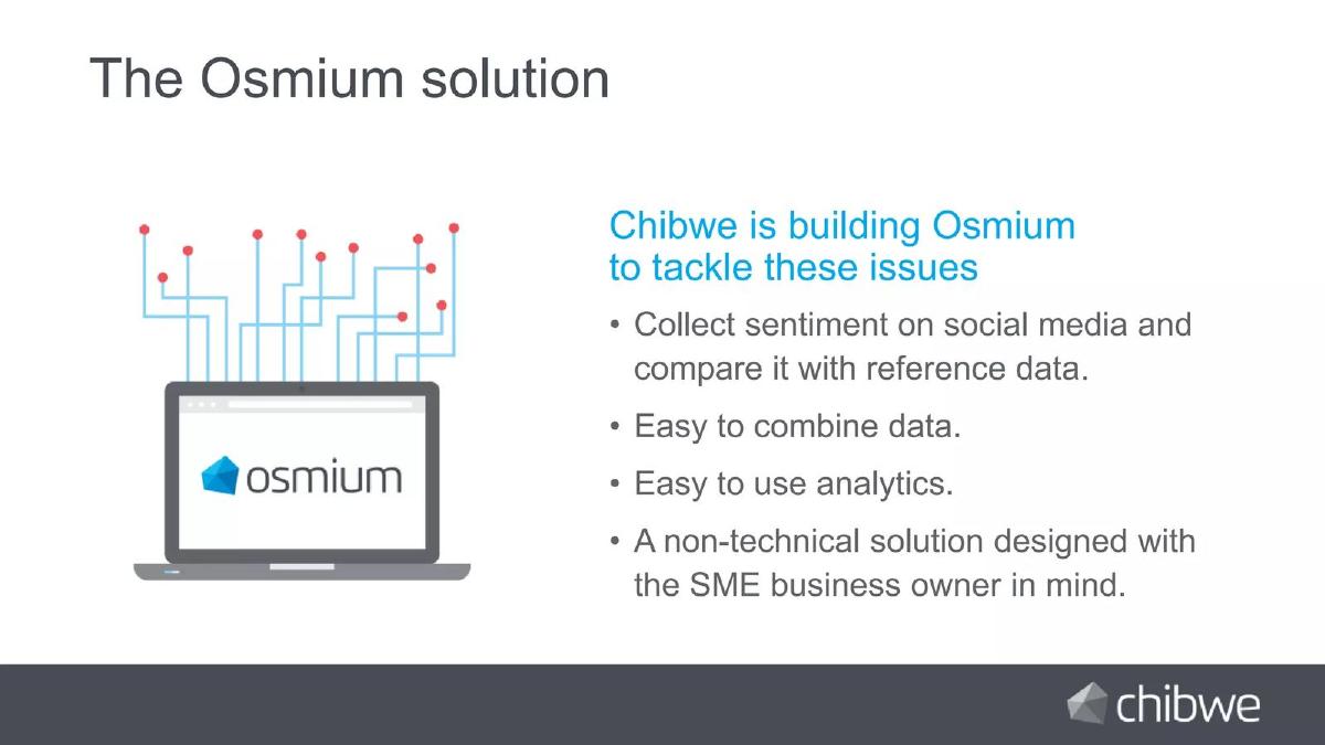 Chibwe pitch deck slide 4 of 14