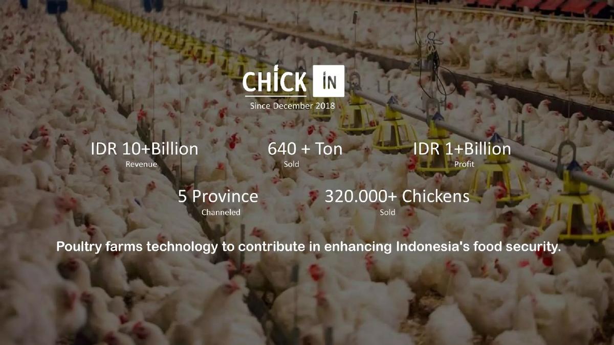 Chick in pitch deck slide 2 of 16