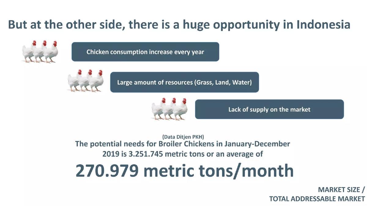 Chick in pitch deck slide 4 of 16
