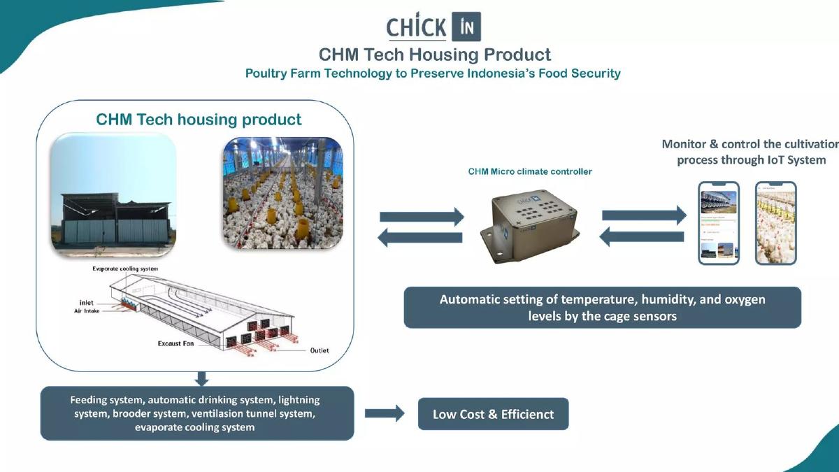 Chick in pitch deck slide 5 of 16