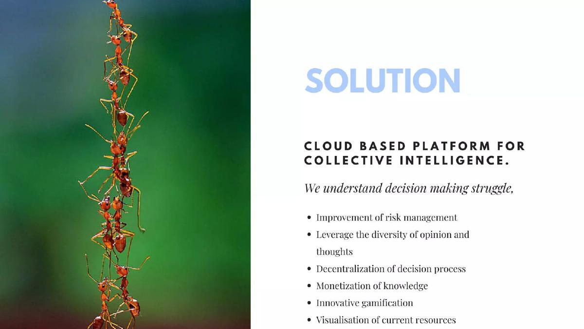 Collectiwise pitch deck slide 4 of 15