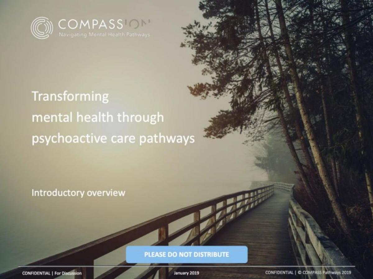 Compass Pathways pitch deck slide 1 of 29
