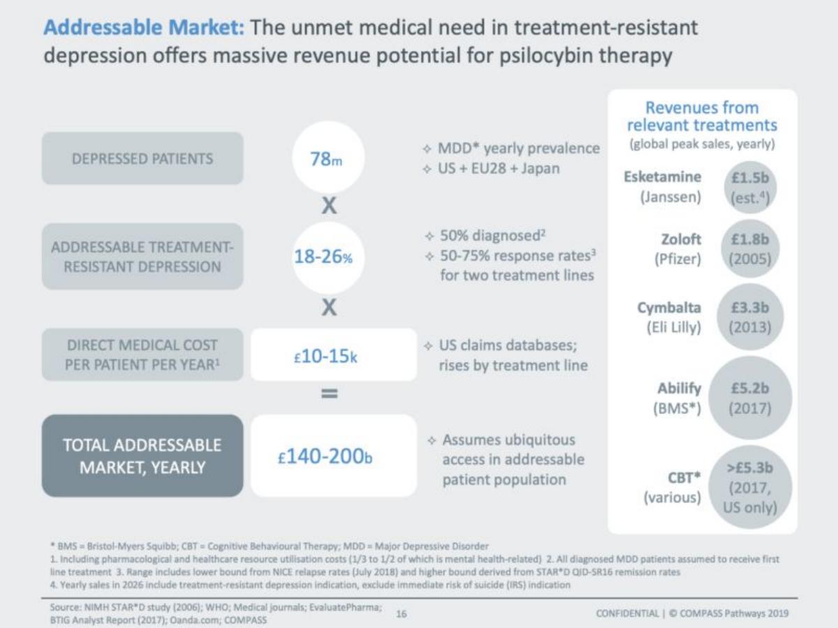 Compass Pathways pitch deck market slide 17