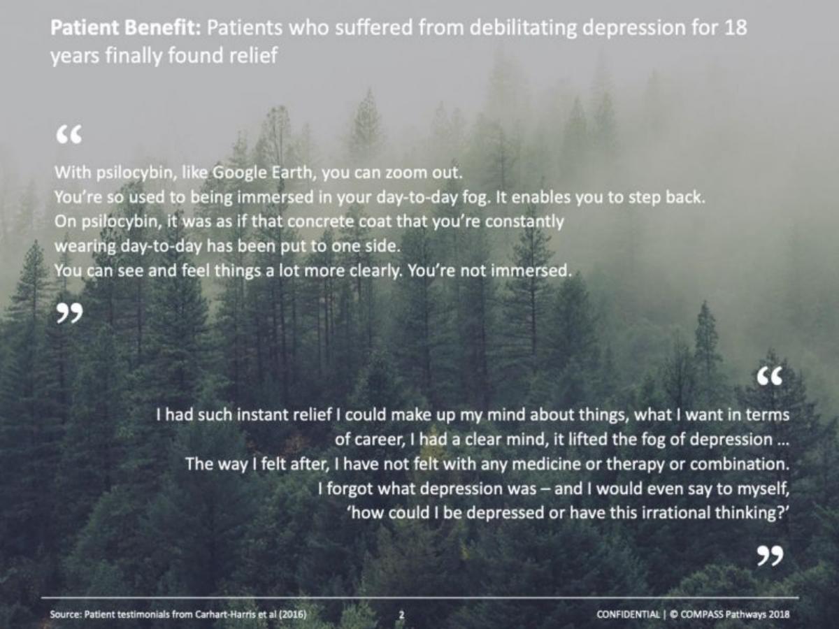 Compass Pathways pitch deck slide 3 of 29