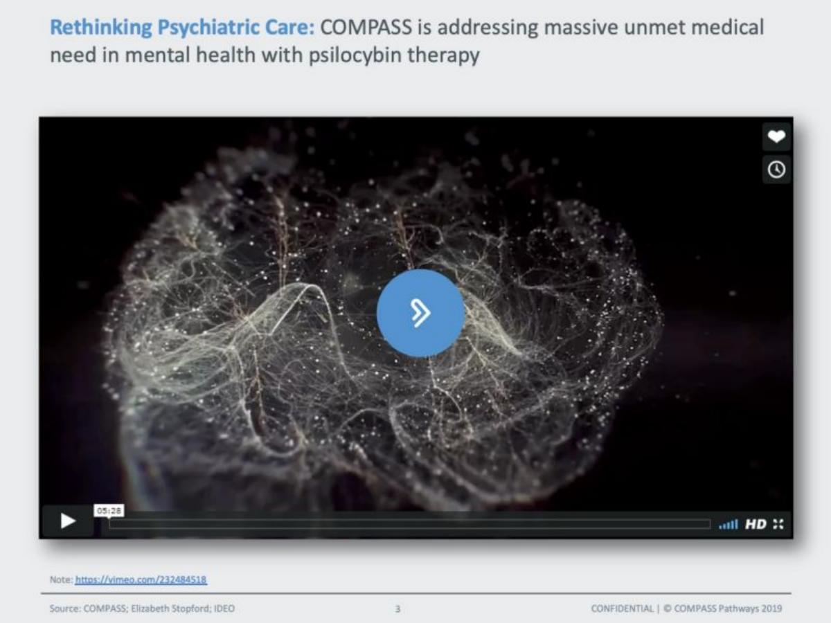 Compass Pathways pitch deck slide 4 of 29