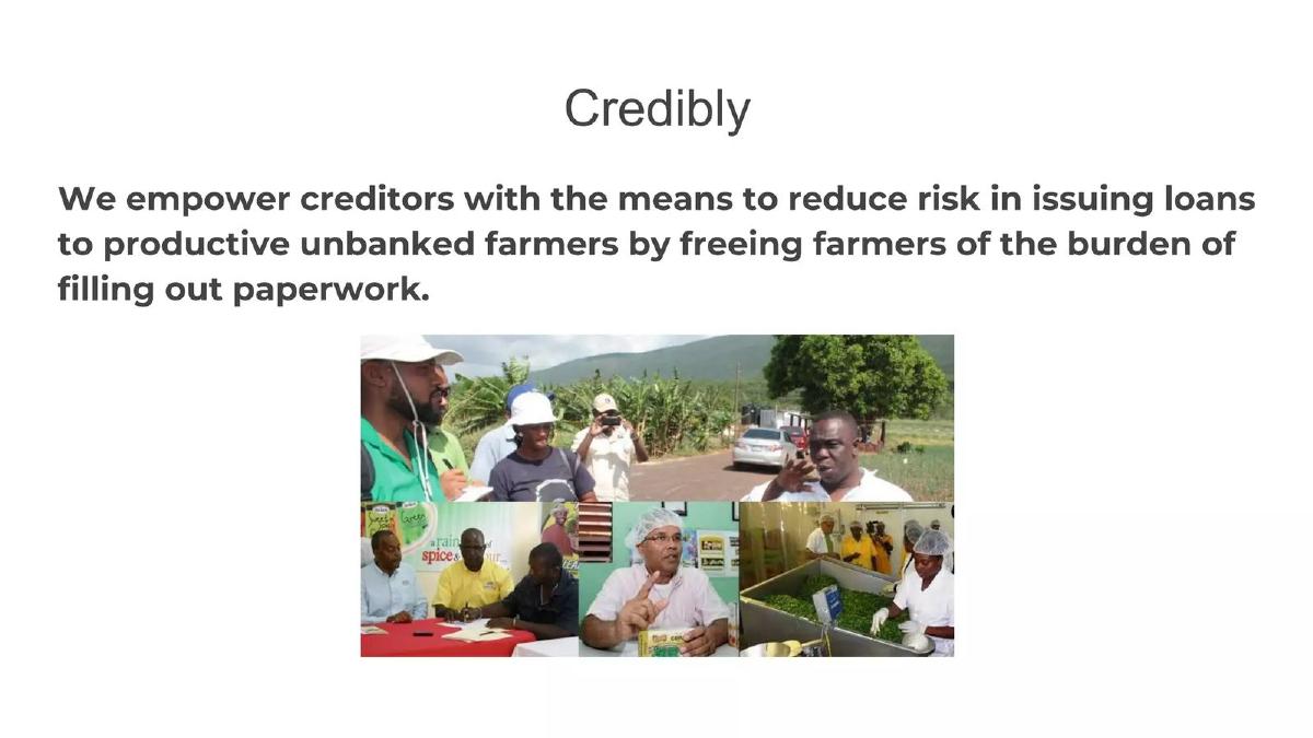 Credibly pitch deck slide 2 of 13
