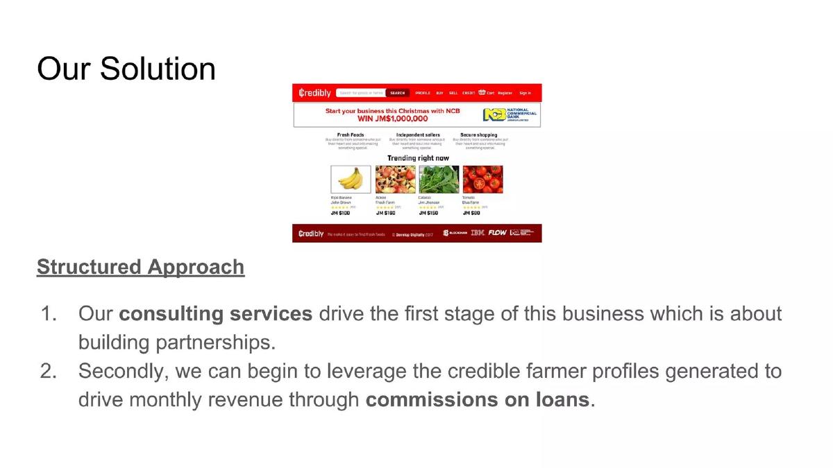 Credibly pitch deck slide 5 of 13