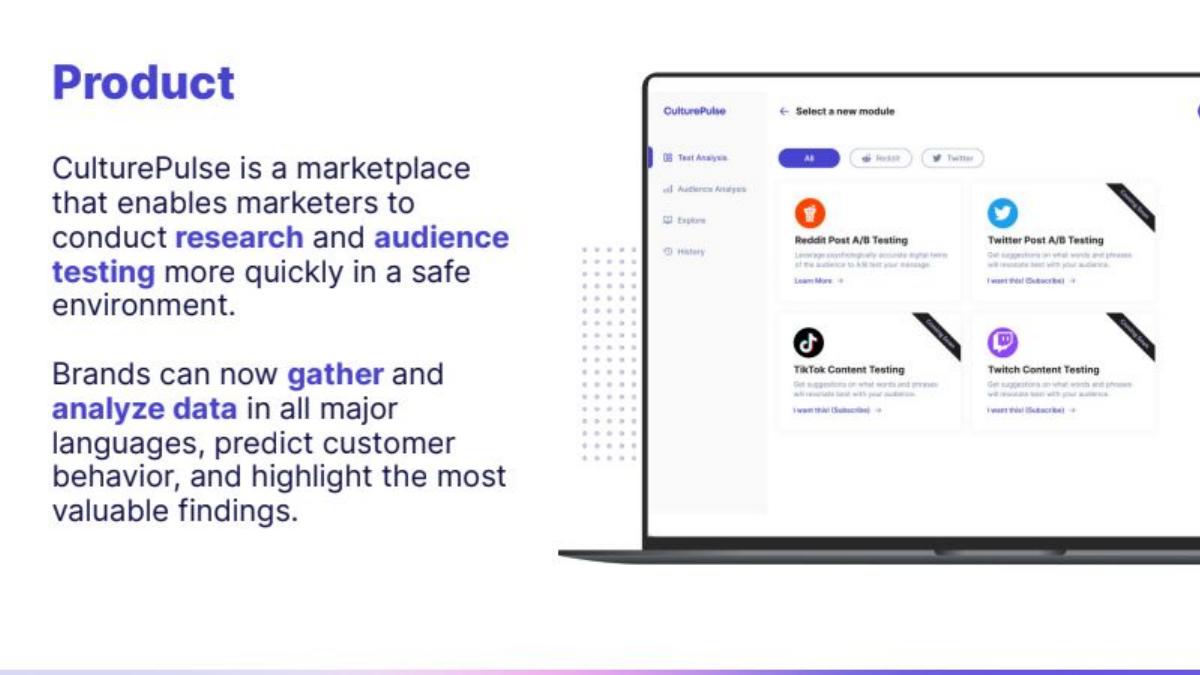 CulturePulse pitch deck slide 3 of 10