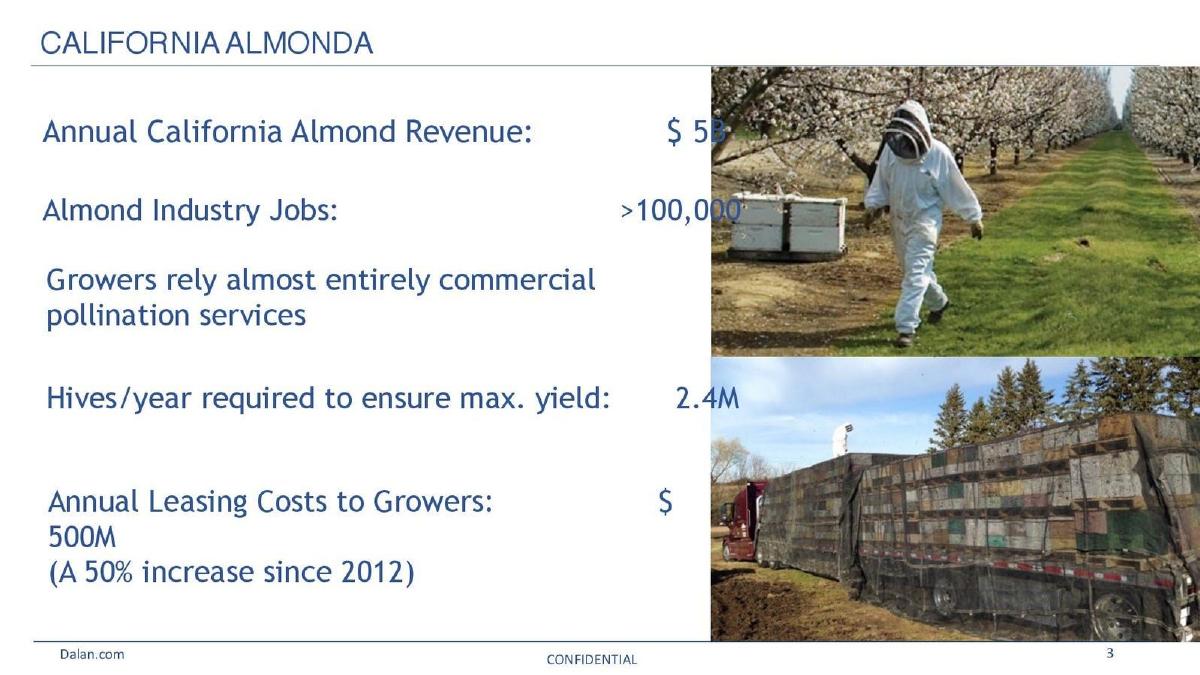 Dalan Animal Health pitch deck slide 3 of 16