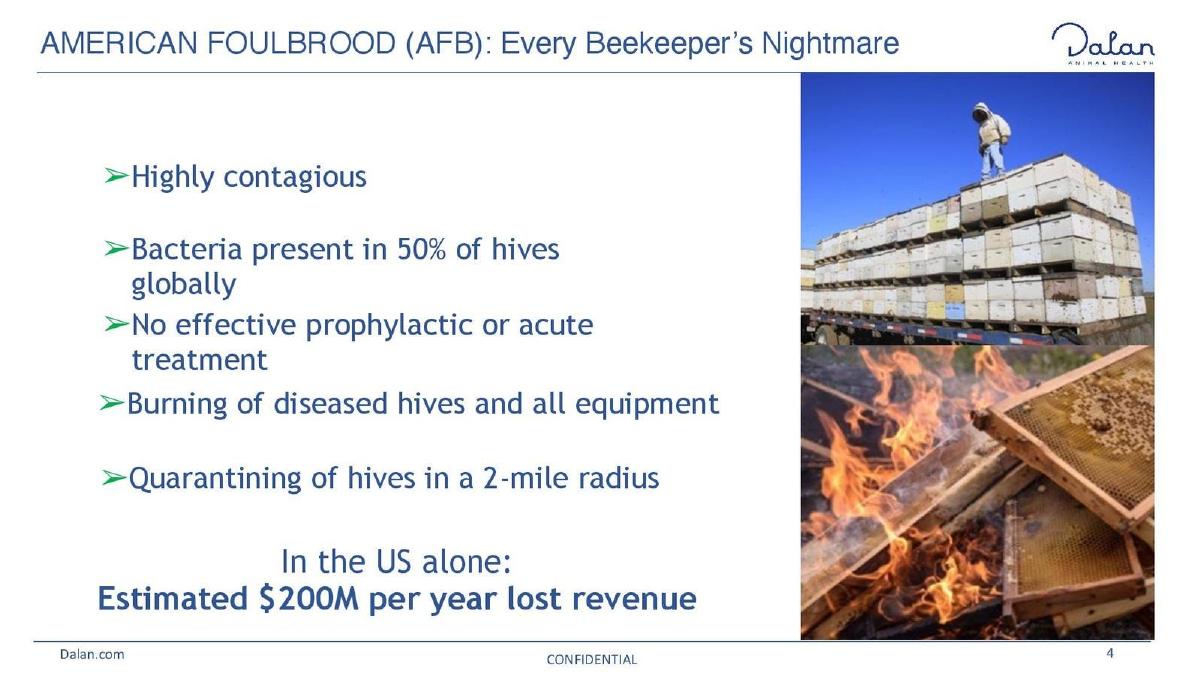 Dalan Animal Health pitch deck slide 4 of 16