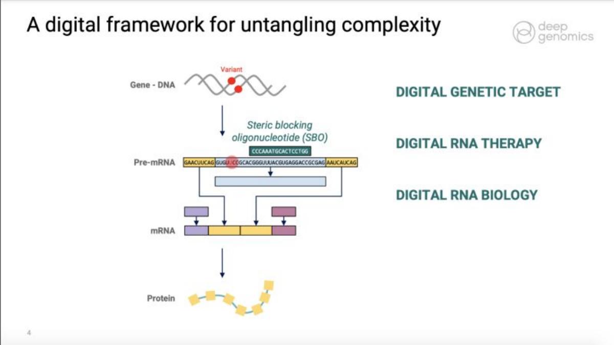 Deep Genomics pitch deck slide 4 of 16