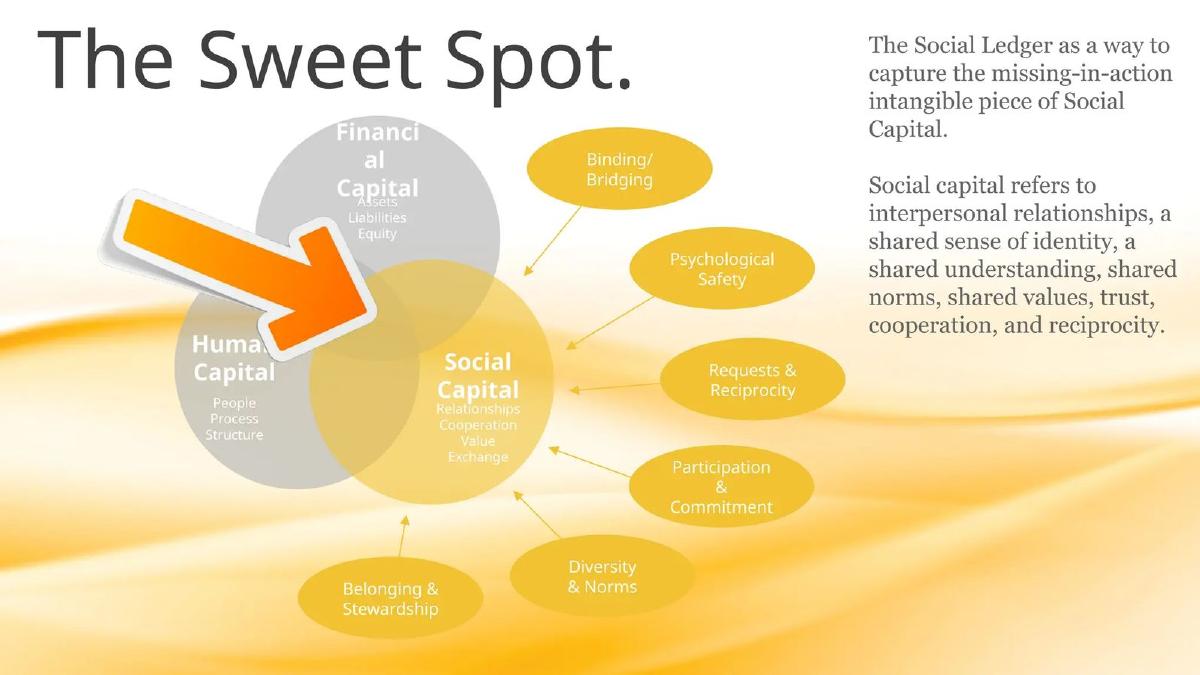 Digital Life Collective pitch deck slide 2 of 25