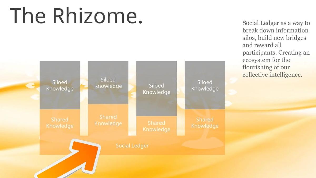 Digital Life Collective pitch deck slide 4 of 25