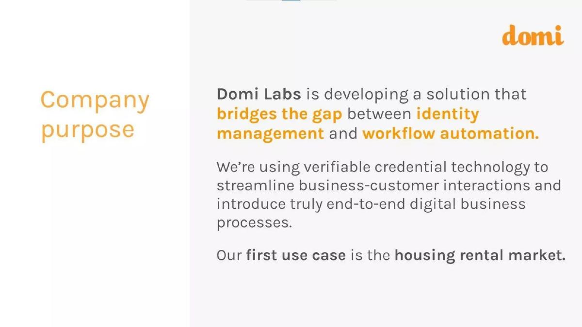 Domi Labs pitch deck slide 3 of 17