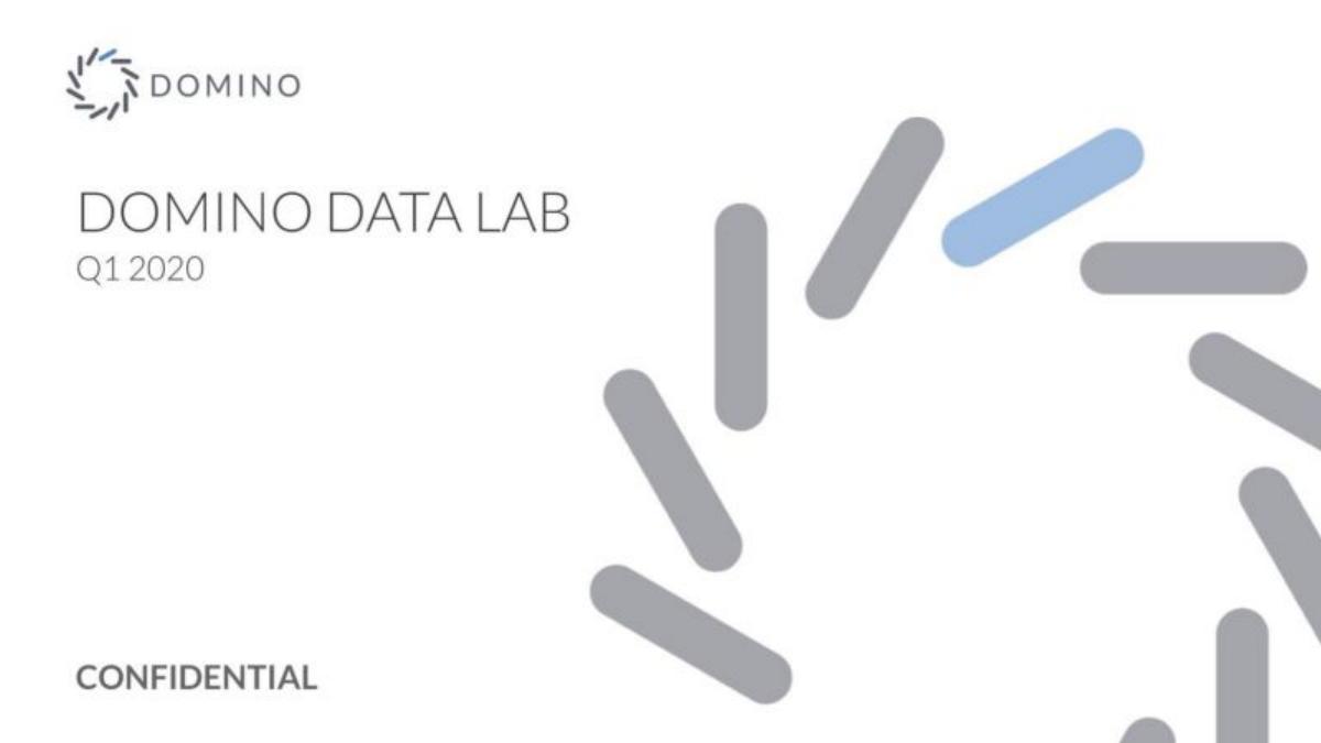 Domino Data Health pitch deck slide 1 of 19
