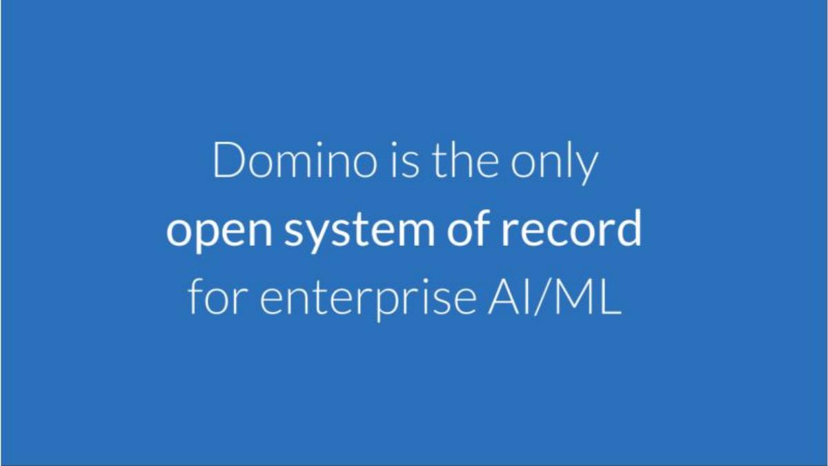 Domino Data Health pitch deck slide 5 of 19