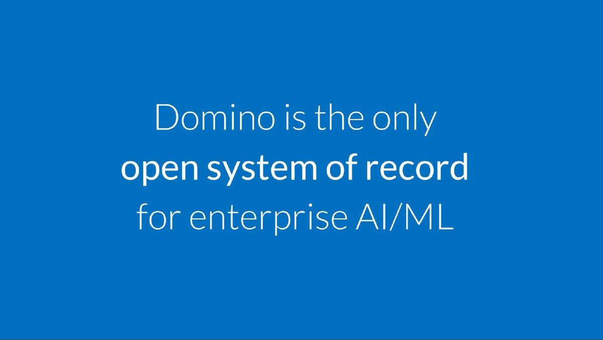Domino Data Lab pitch deck slide 5 of 18