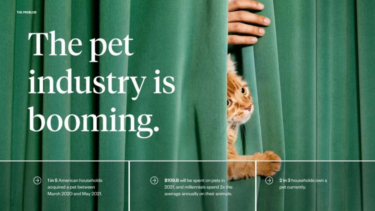 Dutch pitch deck slide 3 of 18