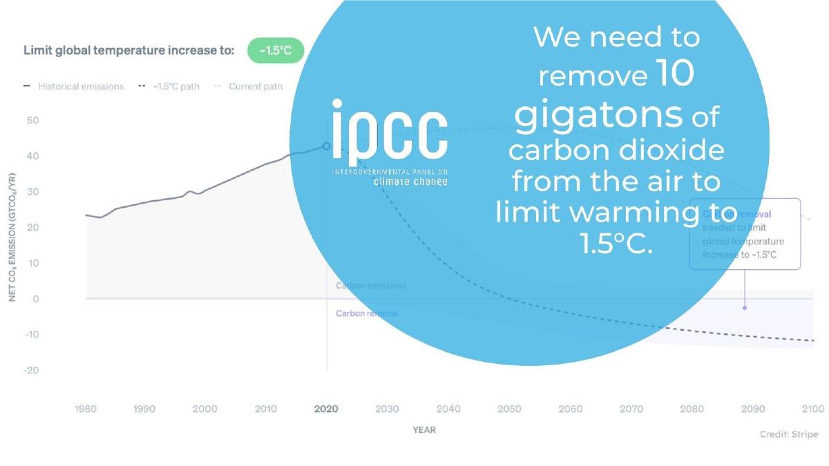 Ebb Carbon pitch deck slide 3 of 14