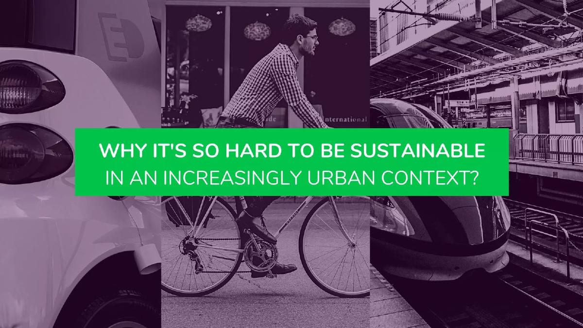 Ecomiles pitch deck slide 4 of 16