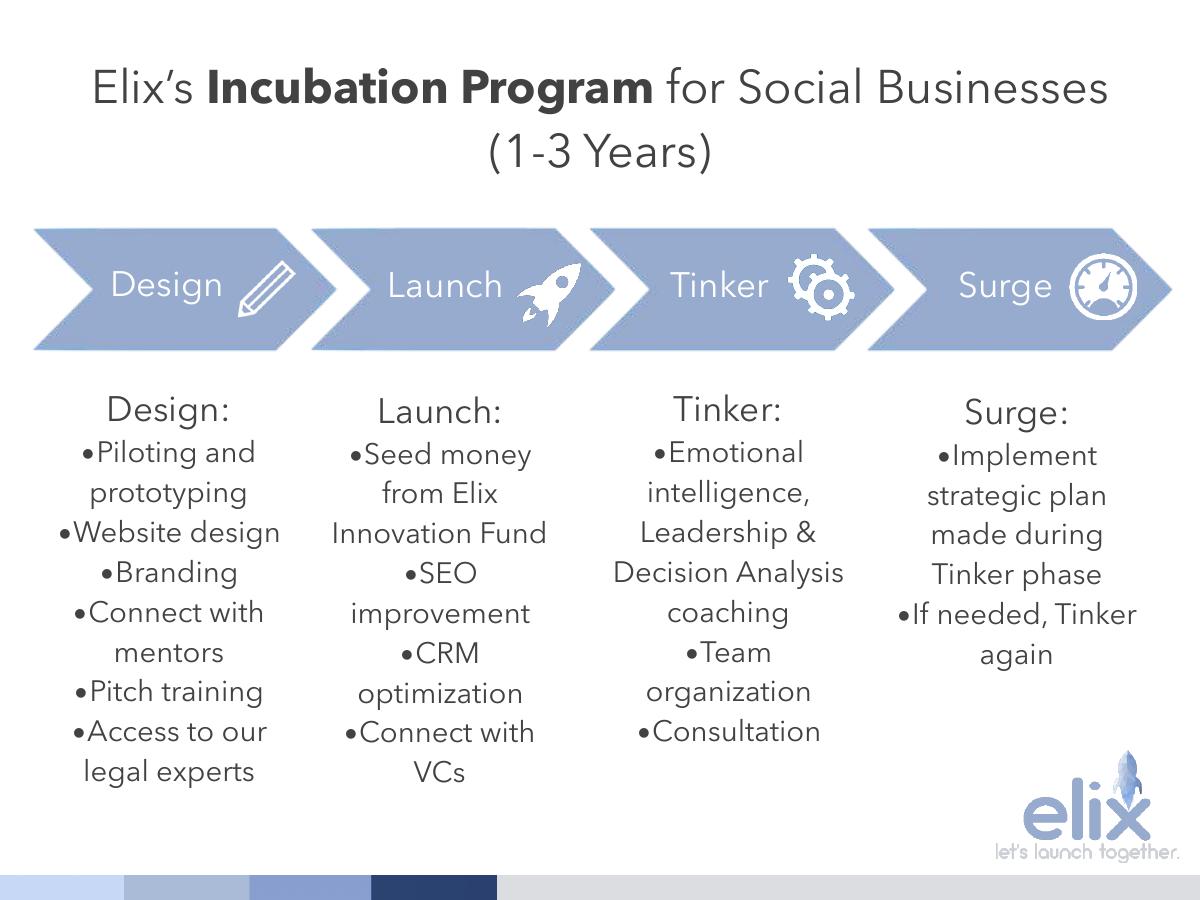 Elix Incubator pitch deck slide 6 of 17