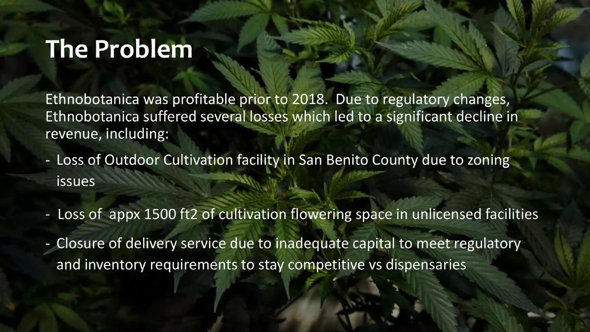 Ethnobotanica (PotDeli) pitch deck slide 4 of 15