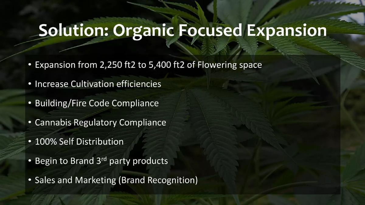Ethnobotanica (PotDeli) pitch deck slide 5 of 15