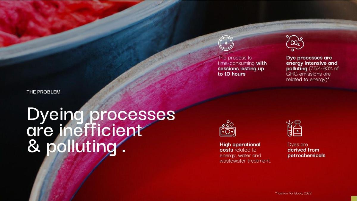 Ever Dye pitch deck slide 3 of 15