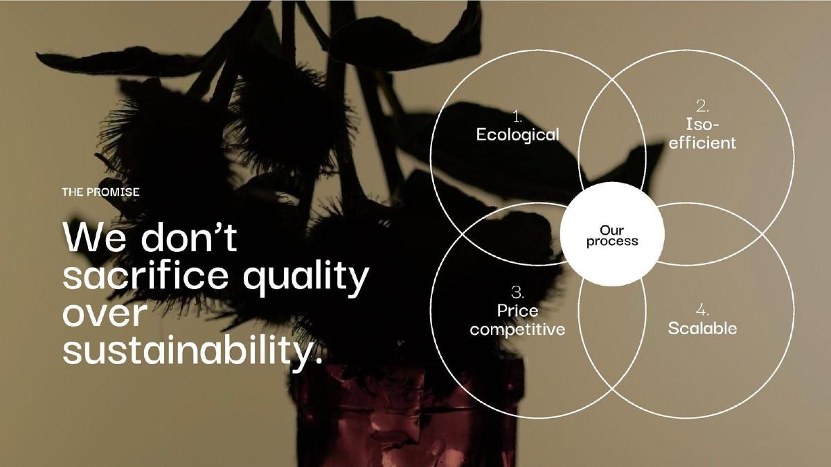 Ever Dye pitch deck slide 4 of 15