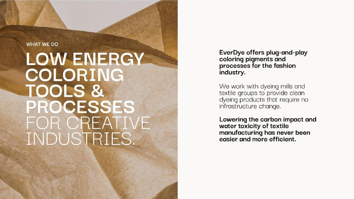 Ever Dye pitch deck slide 5 of 15