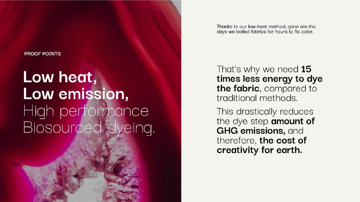 Ever Dye pitch deck slide 6 of 15