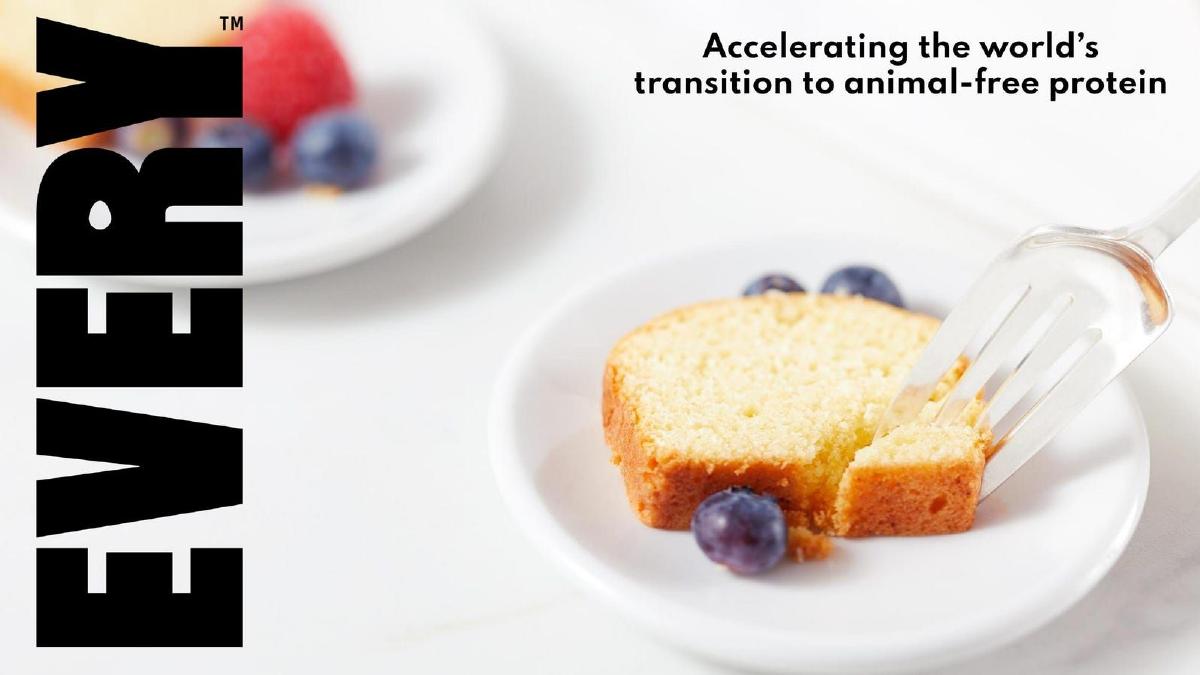 EVERY (formerly Clara Foods) pitch deck slide 1 of 9