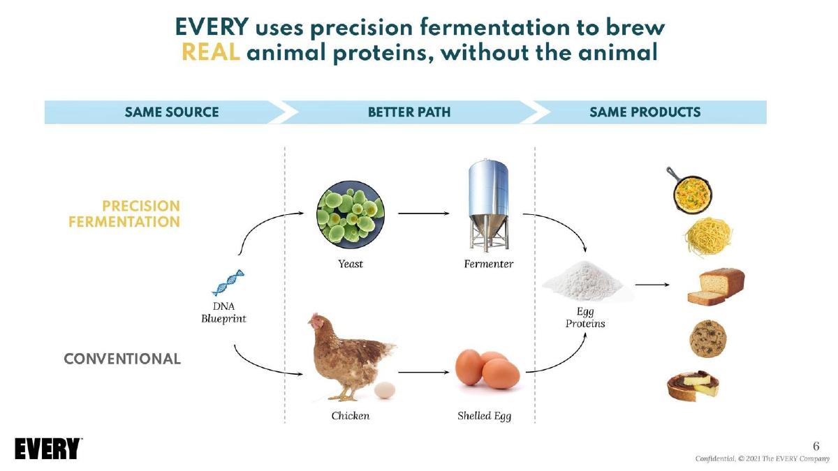 EVERY (formerly Clara Foods) pitch deck slide 6 of 9